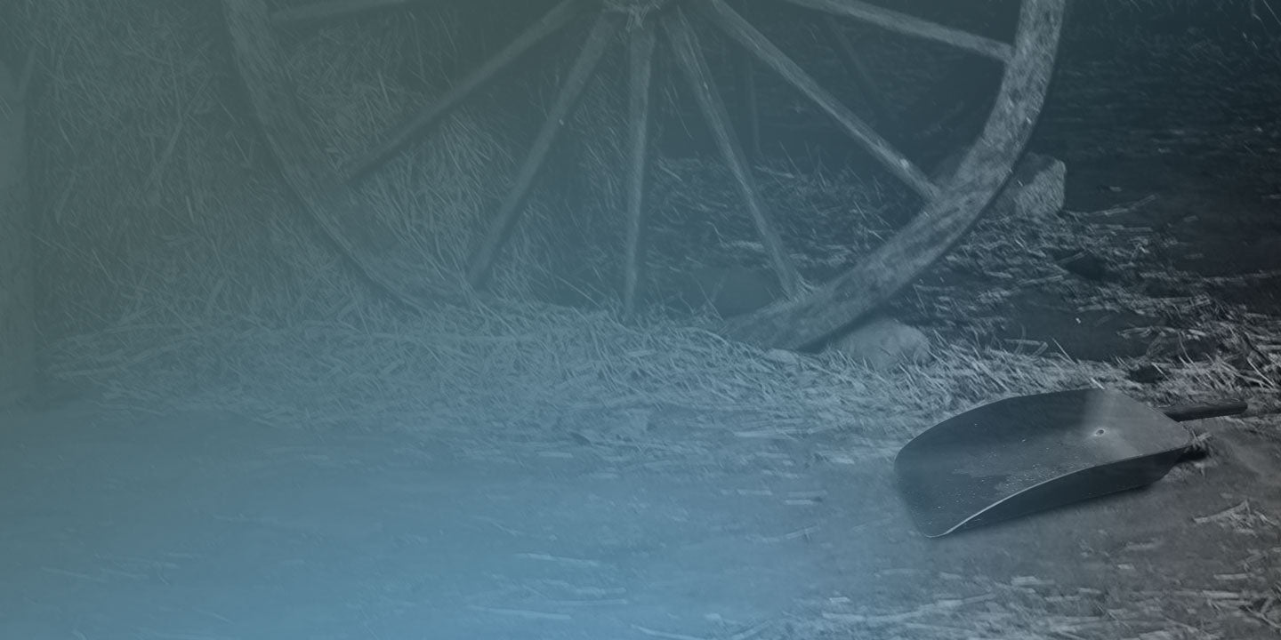 Cage Accessories & Tools