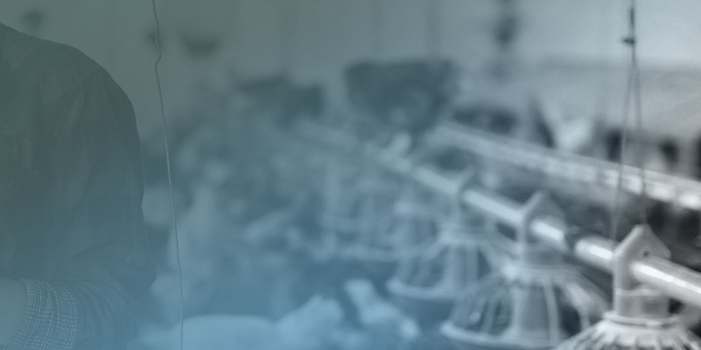 Hoses, Pipes & Fittings