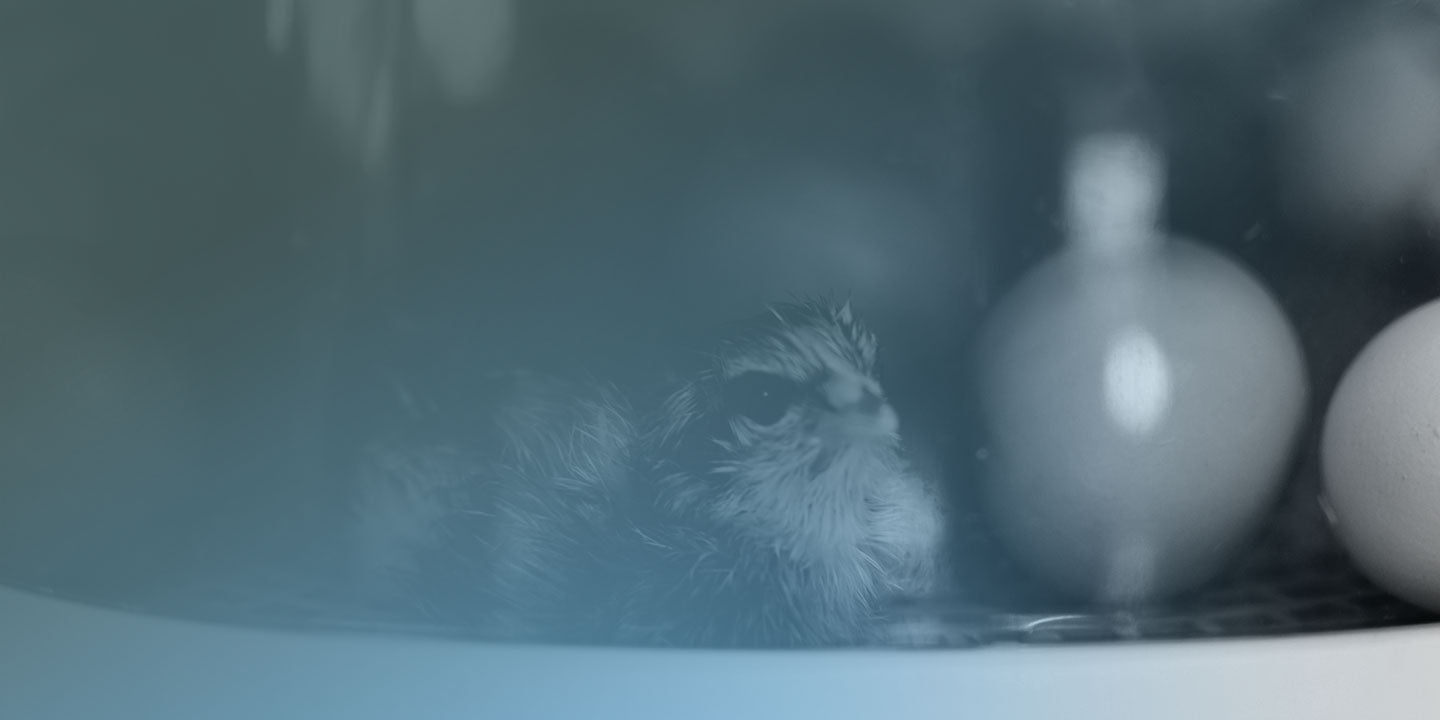 Incubators