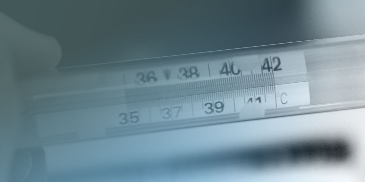 Thermometers & Hygrometers