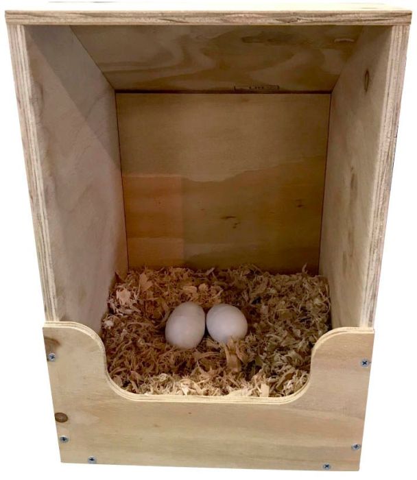 iO Chicken Layer Box Flat Pack Single