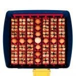Borotto REAL 49 Incubator - Automatic