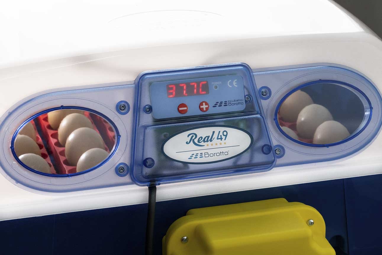 Borotto REAL 49 Incubator - Automatic