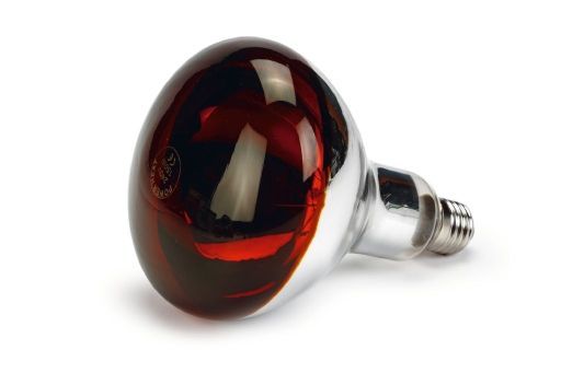 Power Heat R125 Infared E27 Heat Lamp 240v/150w