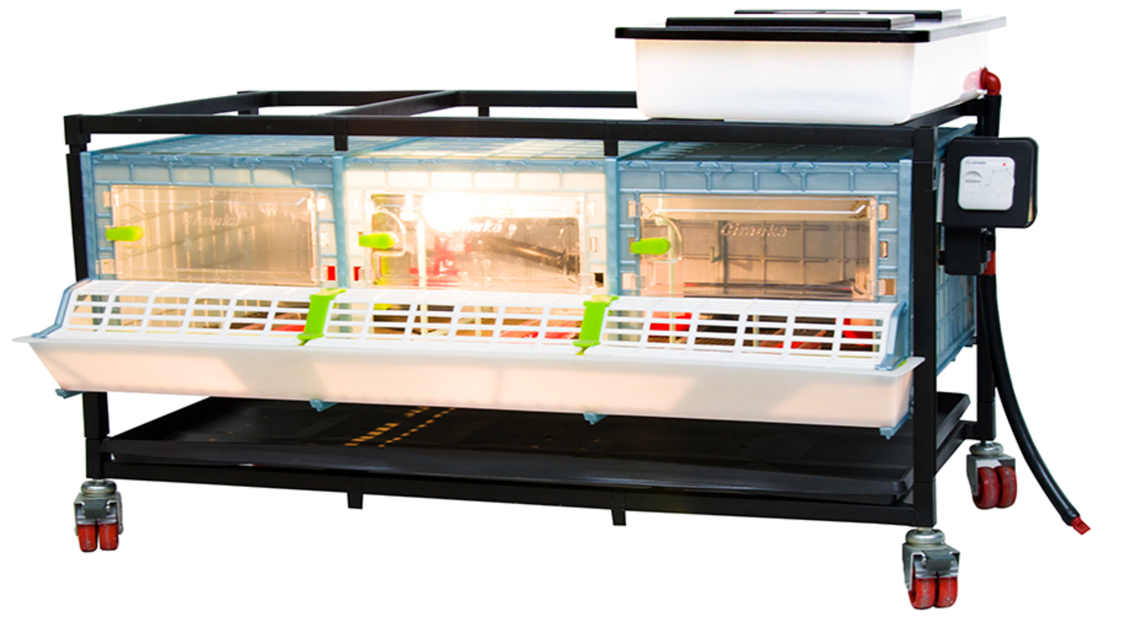 Chick Brooding Cage CB25 (Triple Cage with Single Layer )