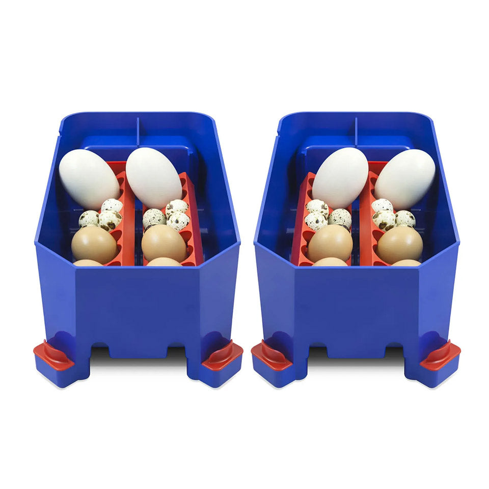 Borotto Lumia 8 Automatic Incubator