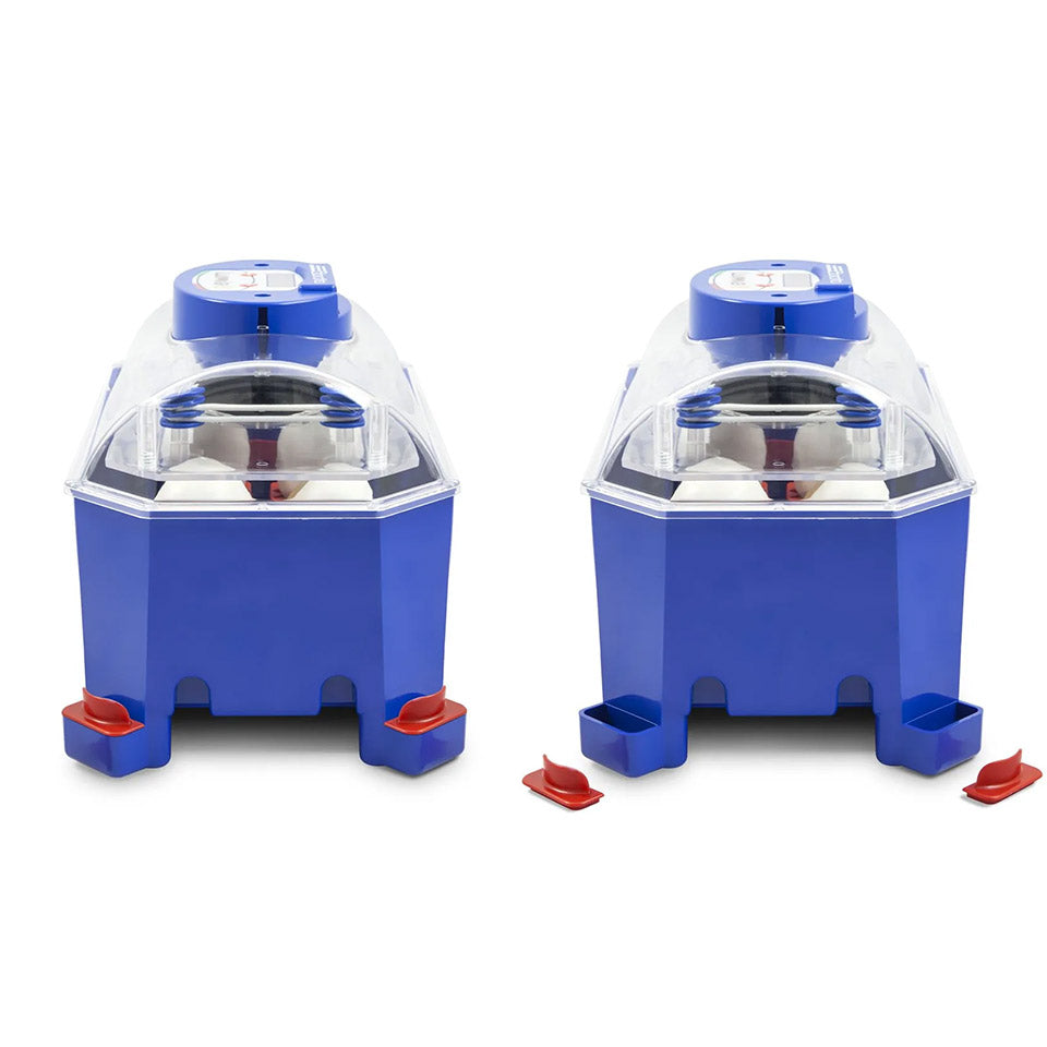 Borotto Lumia 8 Automatic Incubator