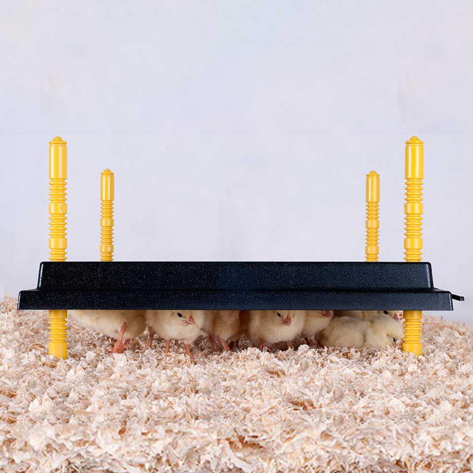 Brooder Heating Chickplate 25x25cm (13 Watt)