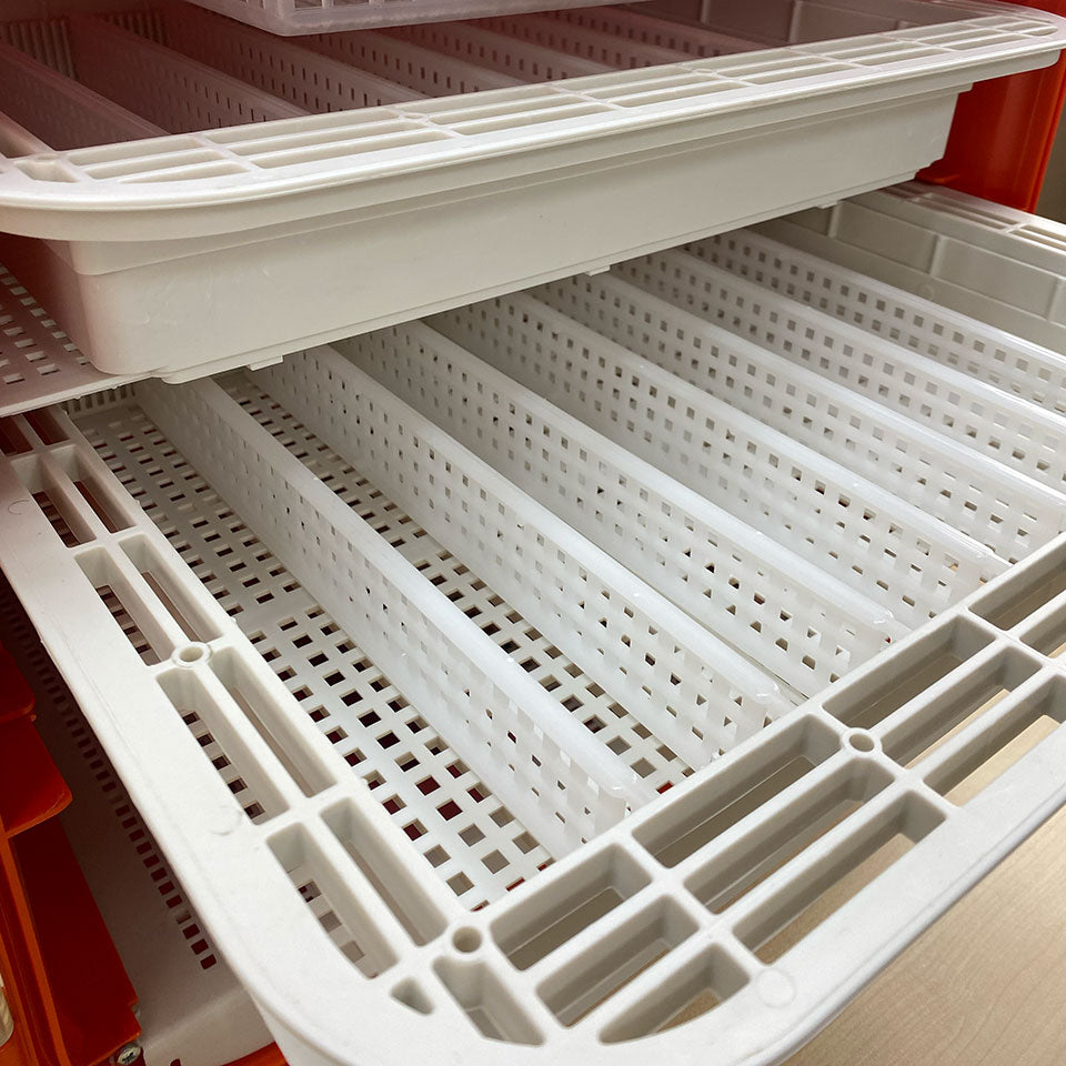 Novital Covatutto 108 Digital Automatic Incubator