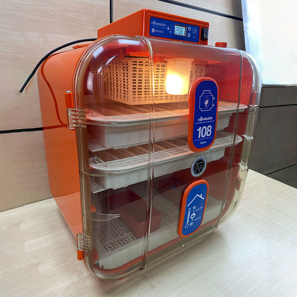 Novital Covatutto 108 Digital Automatic Incubator