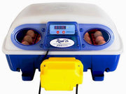 Borotto REAL 24 Automatic Incubator