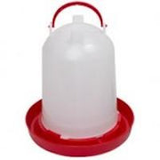 Drinker - 6 litre