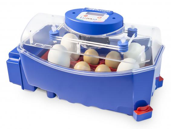 Which is the best egg incubator to buy in Australia?