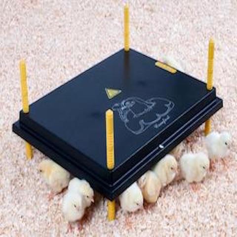 The Best Chicken Brooder to Help You Save $$ on your Electricity Bills!