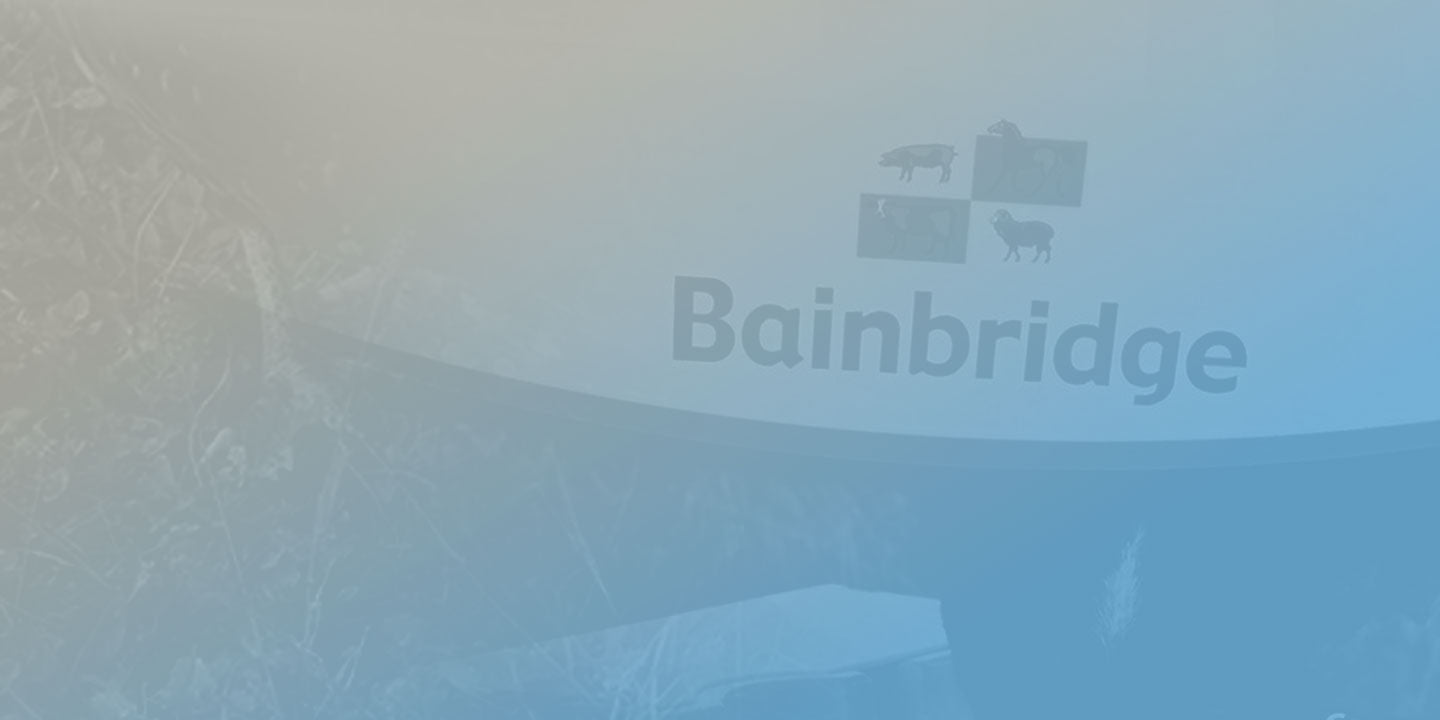 Bainbridge