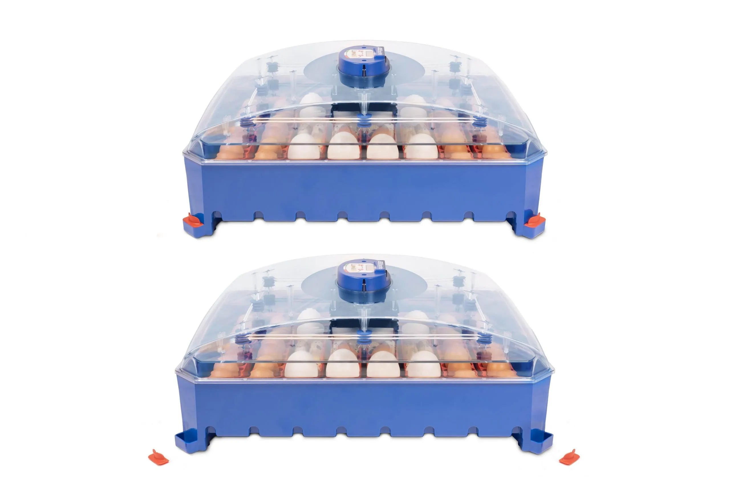 Borotto Lumia 56 Incubator