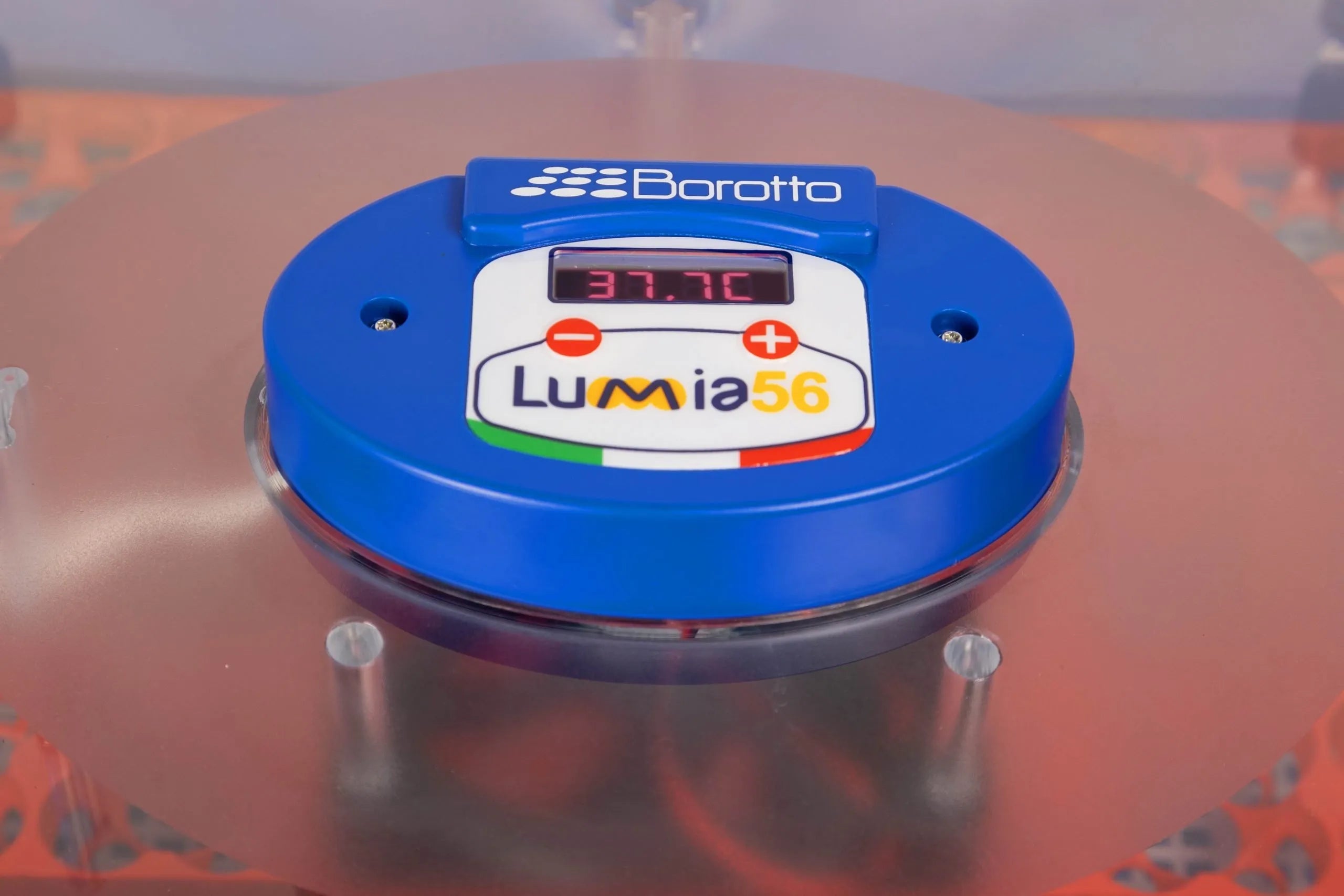 Borotto Lumia 56 Incubator