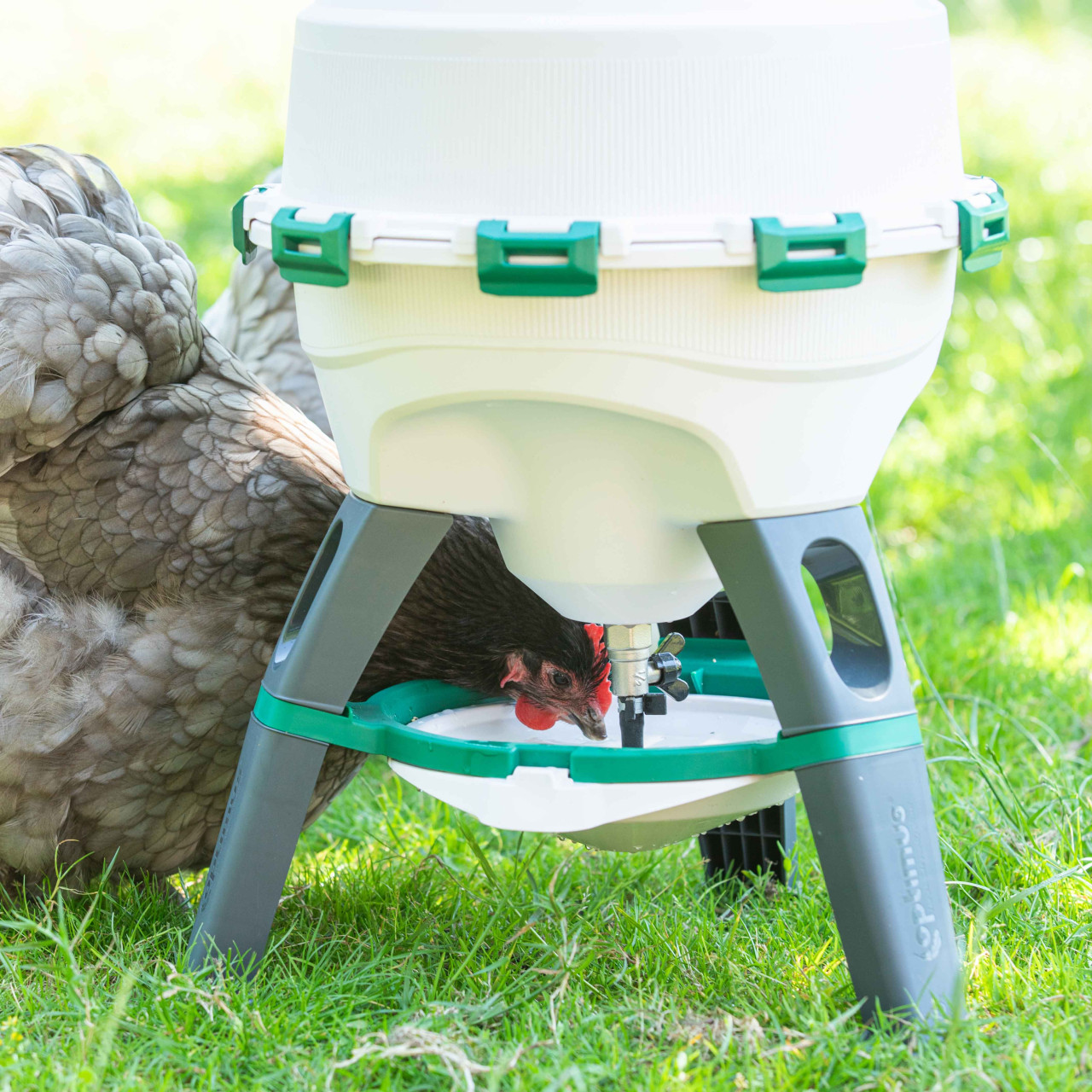 Optimus Top Fill Premium Poultry Drinker 25lt