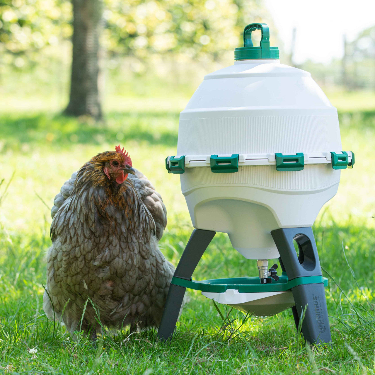 Optimus Top Fill Premium Poultry Drinker 25lt