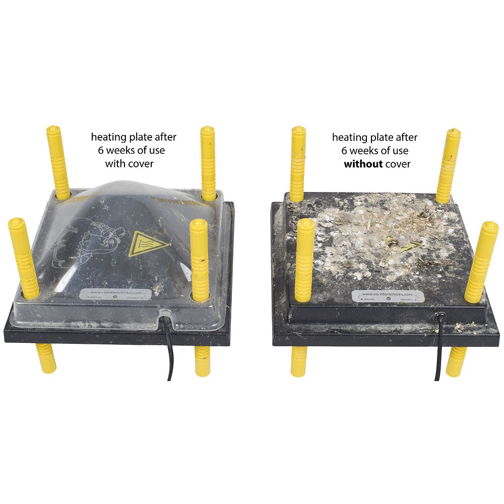 Brooder Chickplate Cover Only 30x30cm