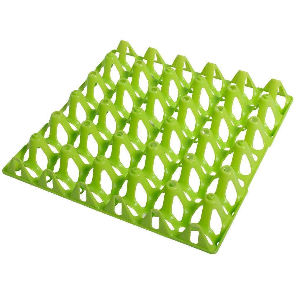 Egg Tray for 30 Chicken Eggs
