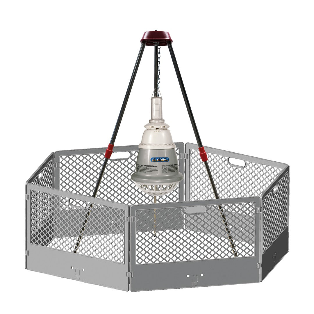 Novital Chick Weaning Kit