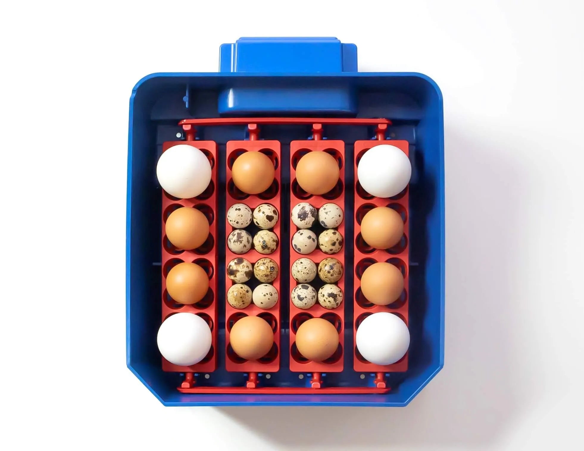 LUMIA 16 Automatic Incubator