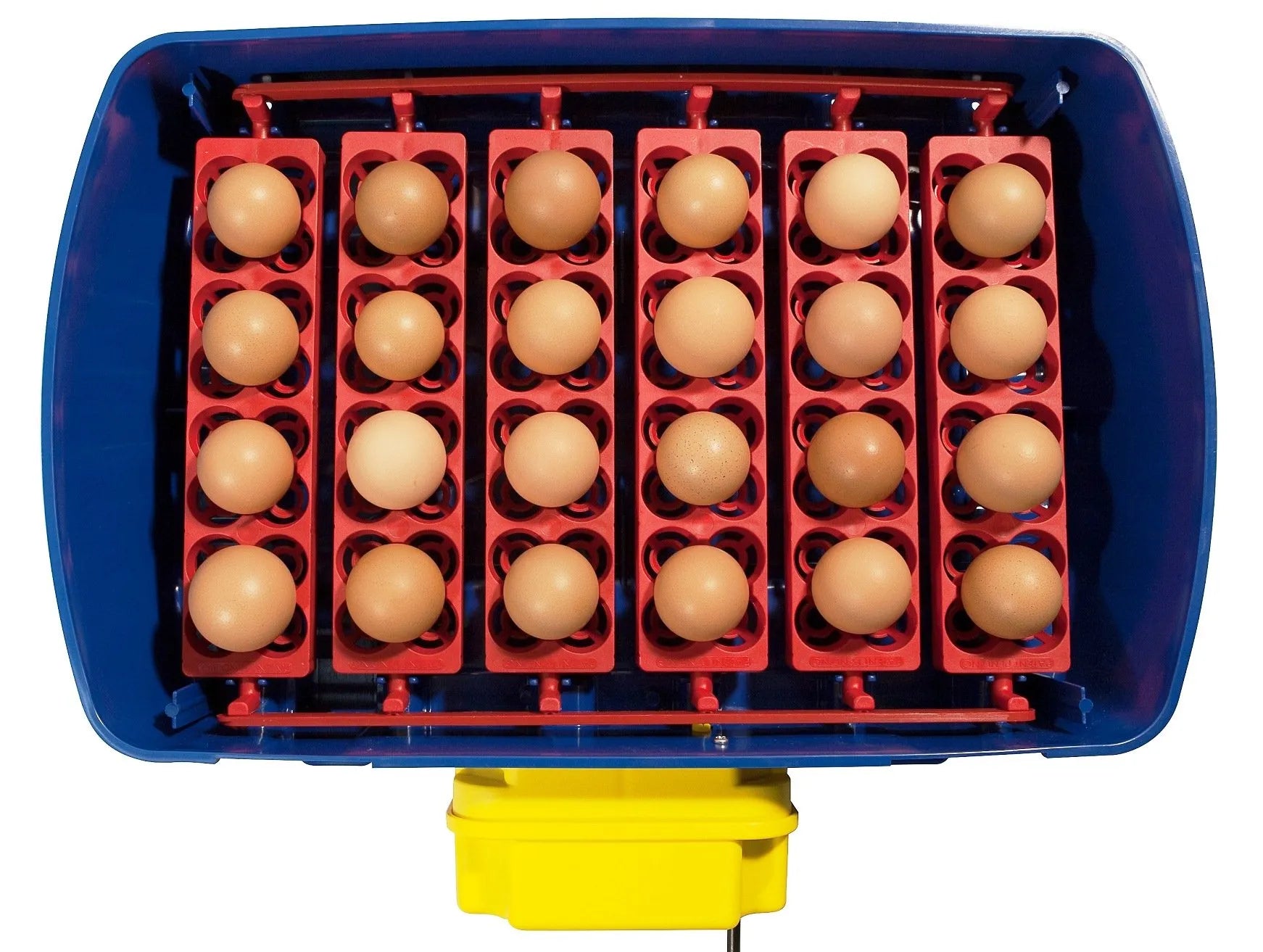 Borotto REAL 24 Automatic Incubator
