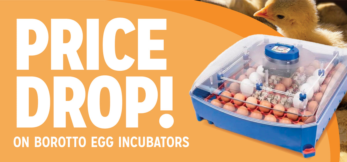 Brookfield Poultry Equipment