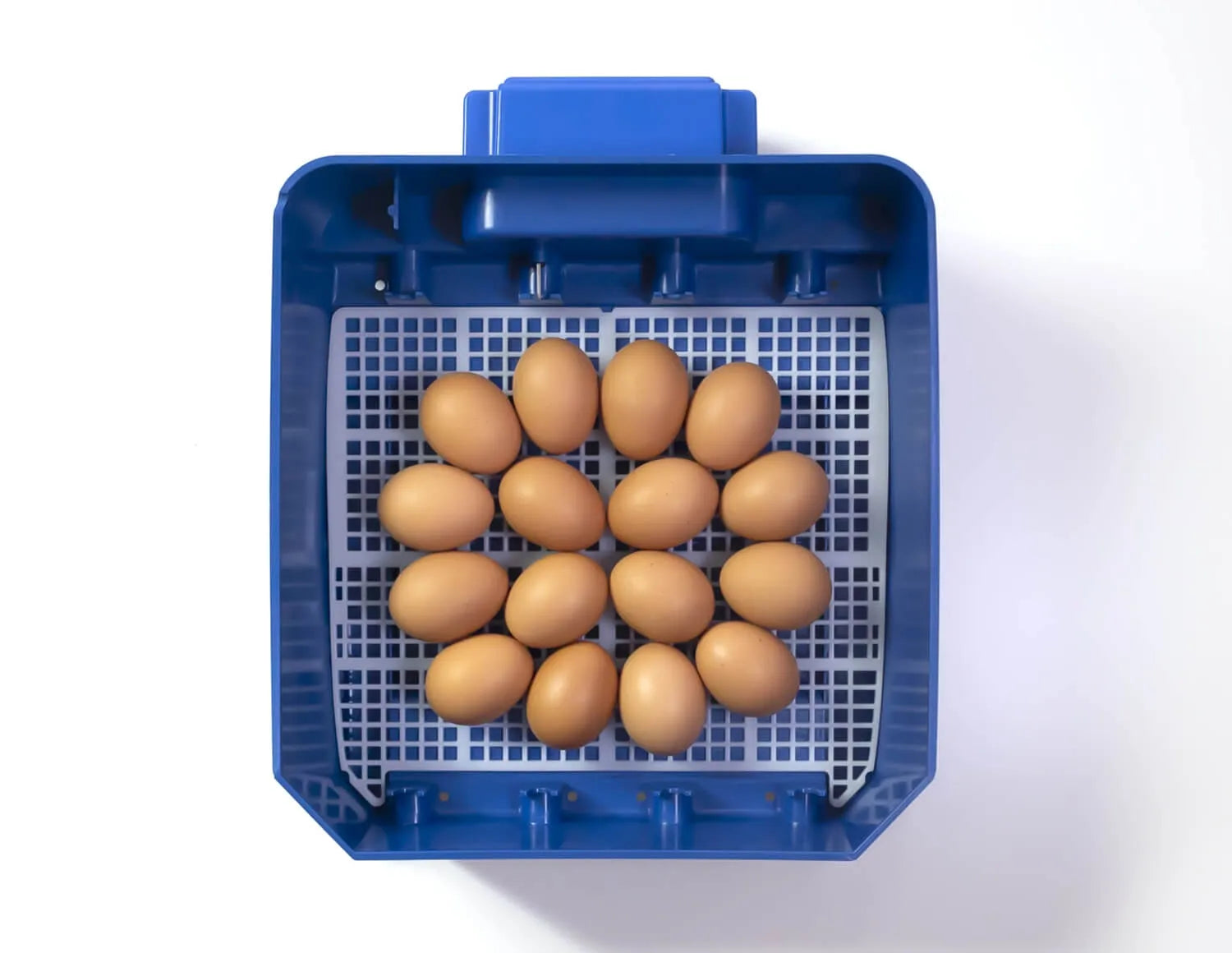 LUMIA 16 Automatic Incubator