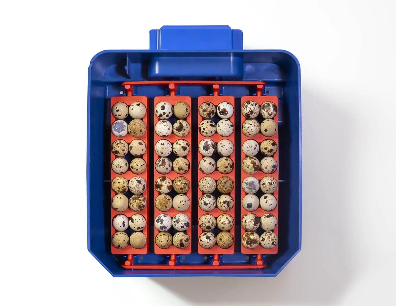 LUMIA 16 Automatic Incubator