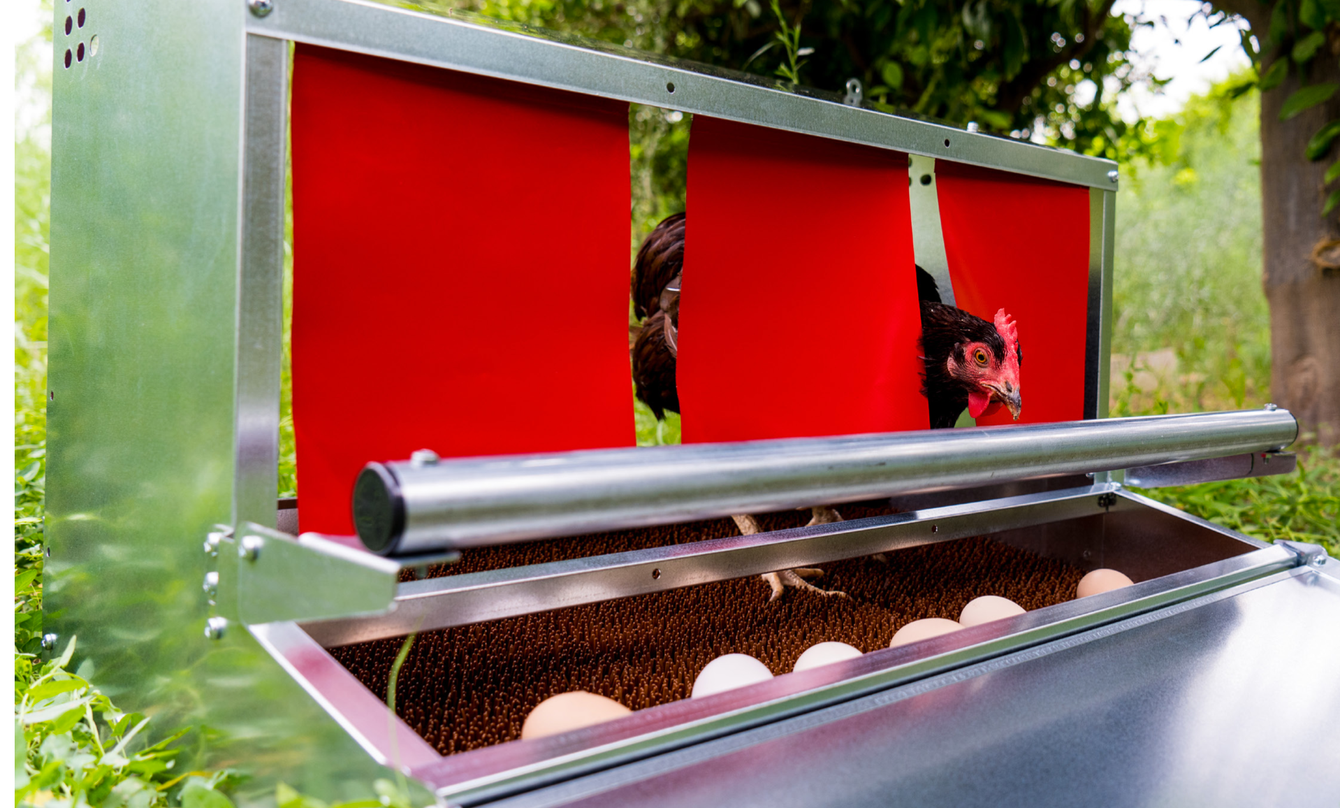 Ultimate Community Nestbox (Medium - Triple Partition)