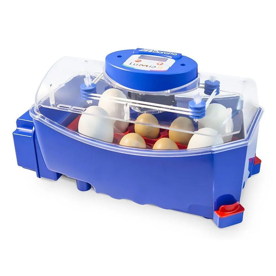 Borotto Lumia 8 Automatic Incubator