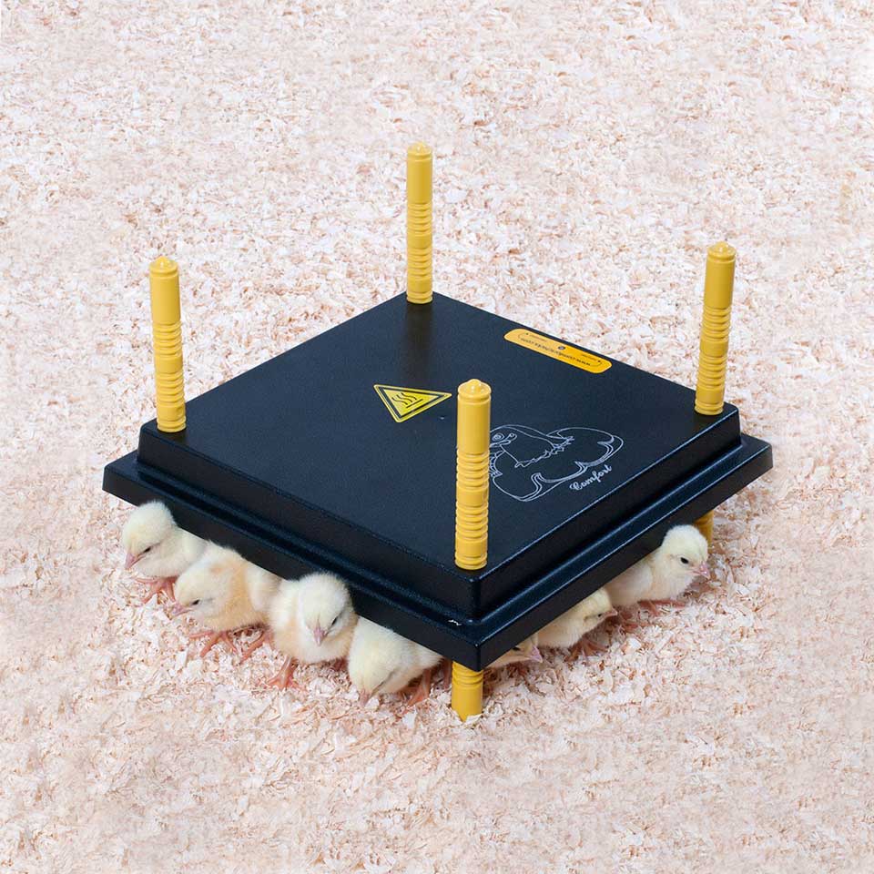 Brooder Heating Chickplate 25x25cm (13 Watt) – Brookfield Poultry Equipment