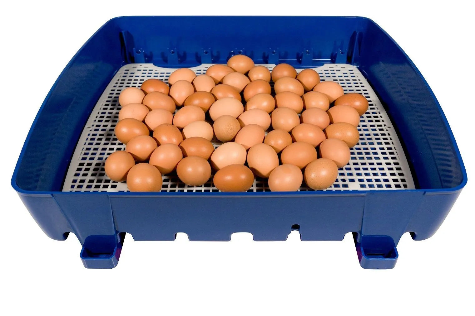 Borotto REAL 49 Incubator - Automatic