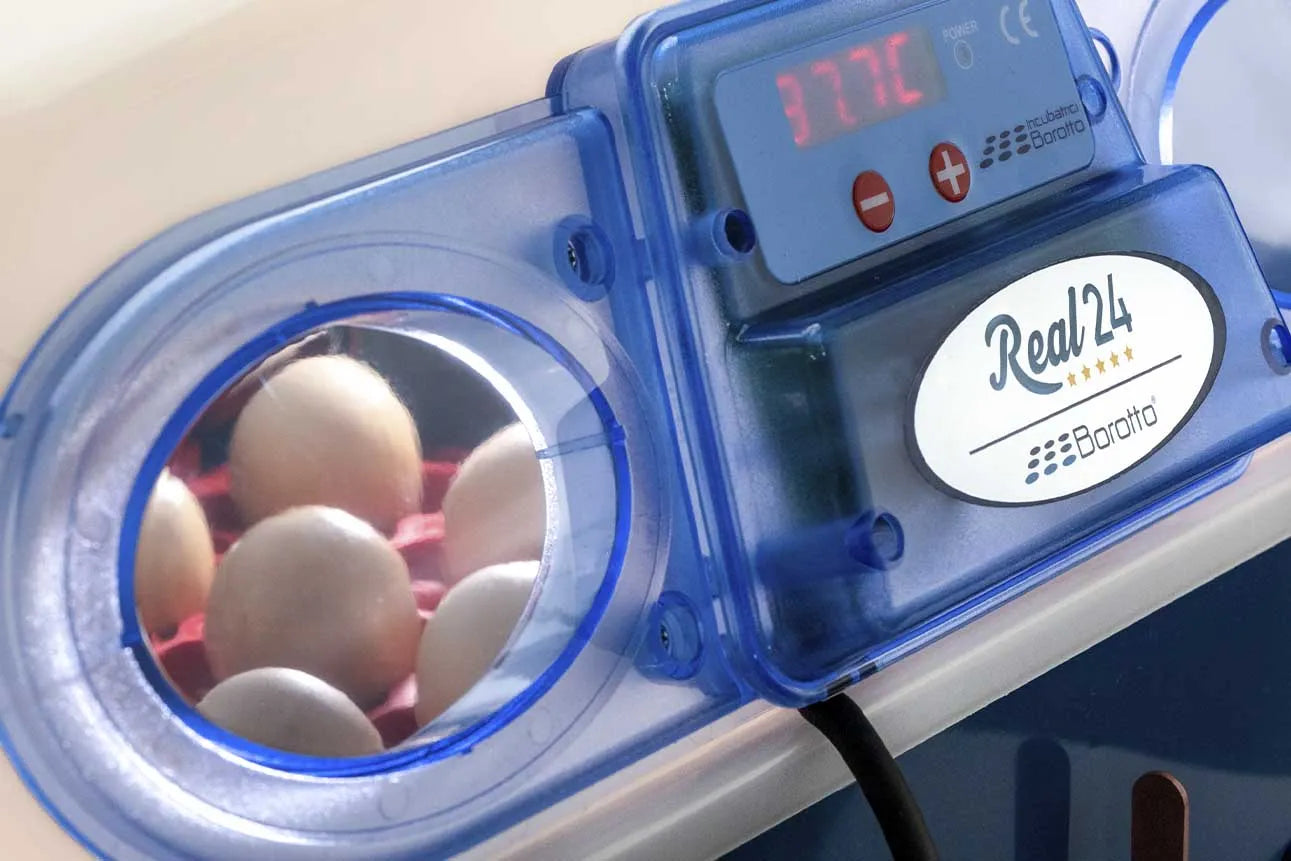 Borotto REAL 24 Automatic Incubator