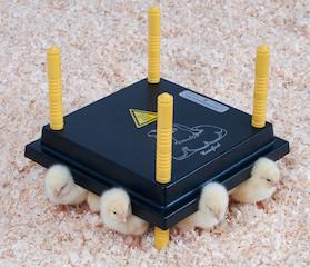 Brooder - Chickplate - 13watt