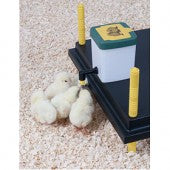 Nipple drinker for chickplate - 500ml